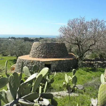 Casa Dell'olivo Casa vacanze